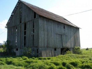 Barnwood | United States | Reclaimed Woods of the World