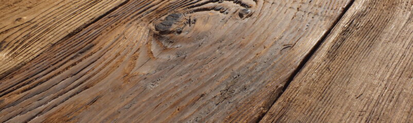 Mushroom-Board-2