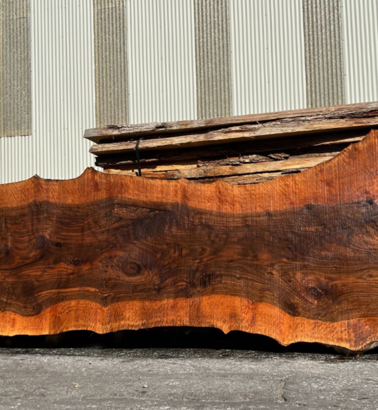 Bastogne Walnut Wood Slab