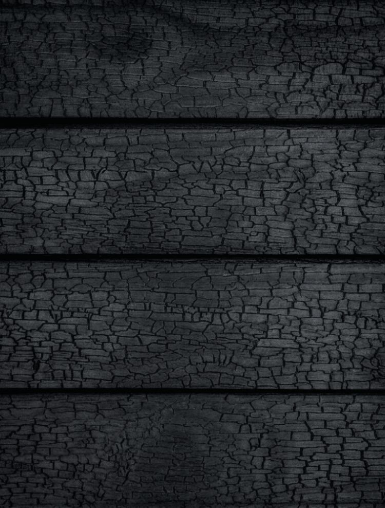 Shou Sugi Ban style thermally modified wood cladding (ThermoWood Millworks)
