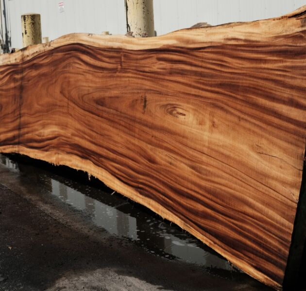 monkey pod wood slab