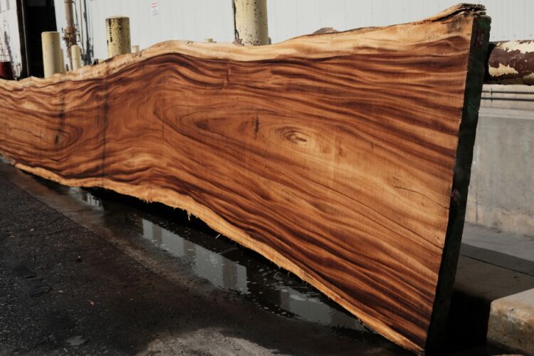 monkey pod wood slab