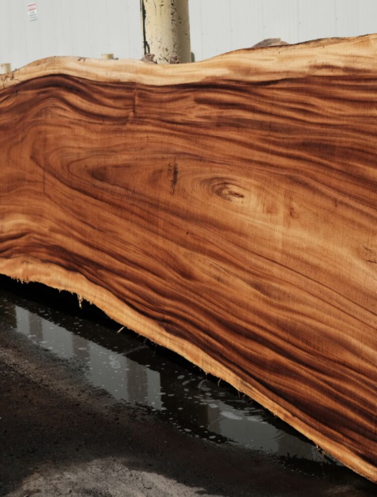 monkey pod wood slab