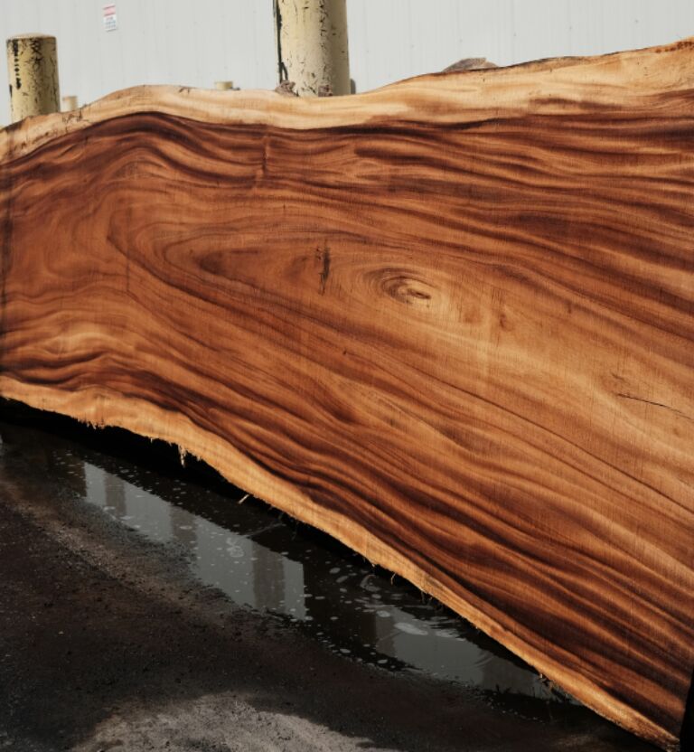 monkey pod wood slab