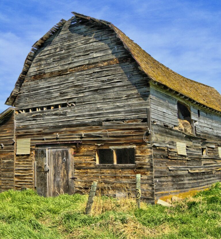 Old weathered gambrel barn