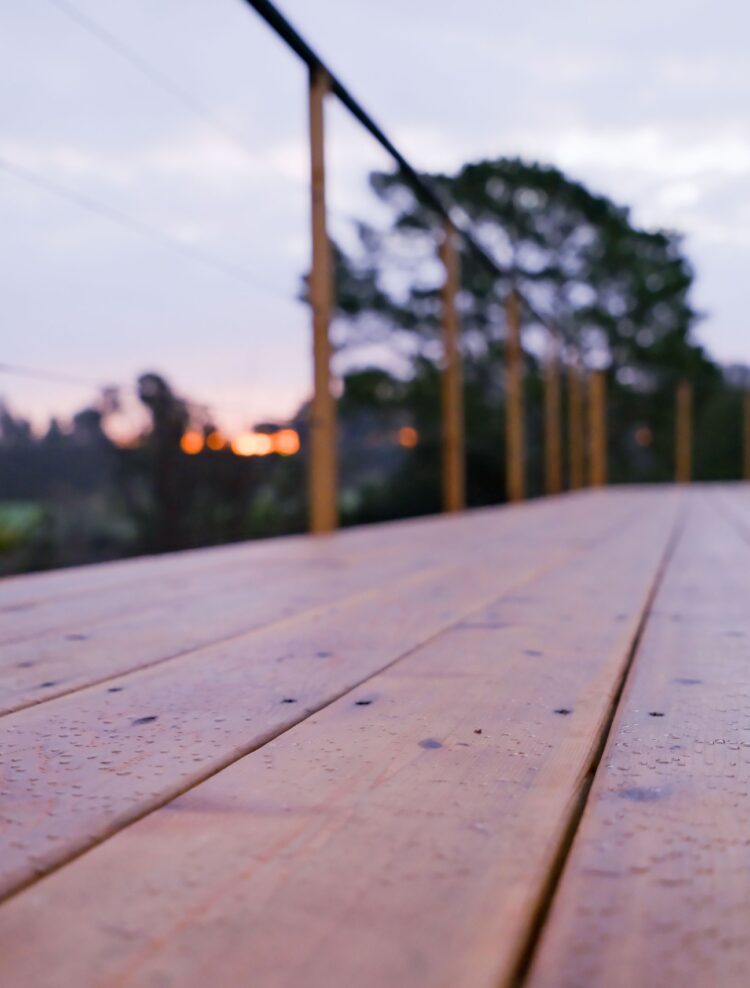 SaferWood project